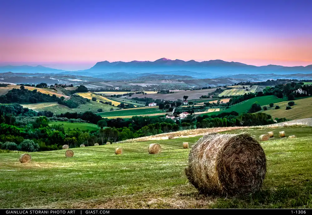 Panorama del viaggio