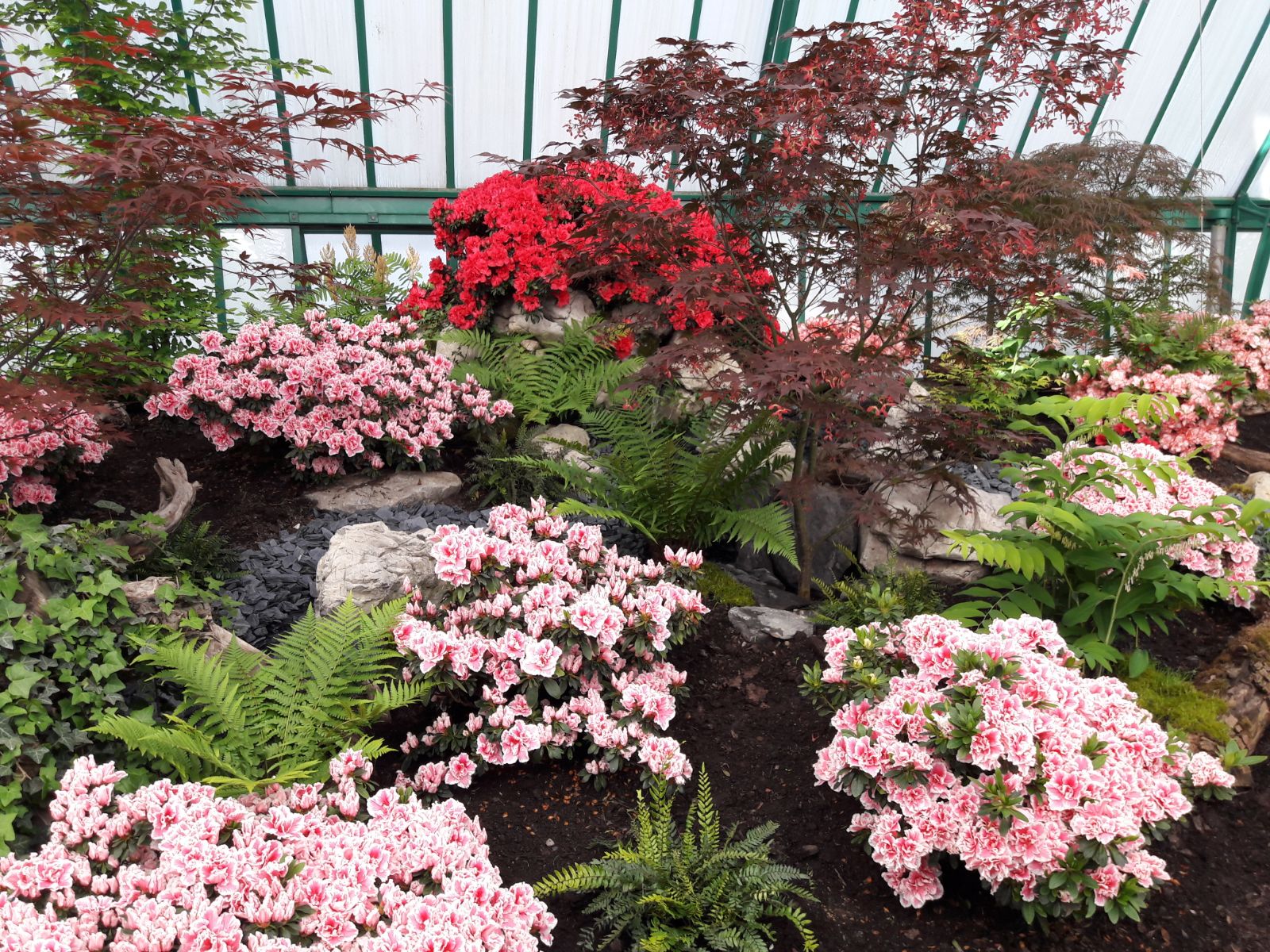 I giardini segreti Belgio