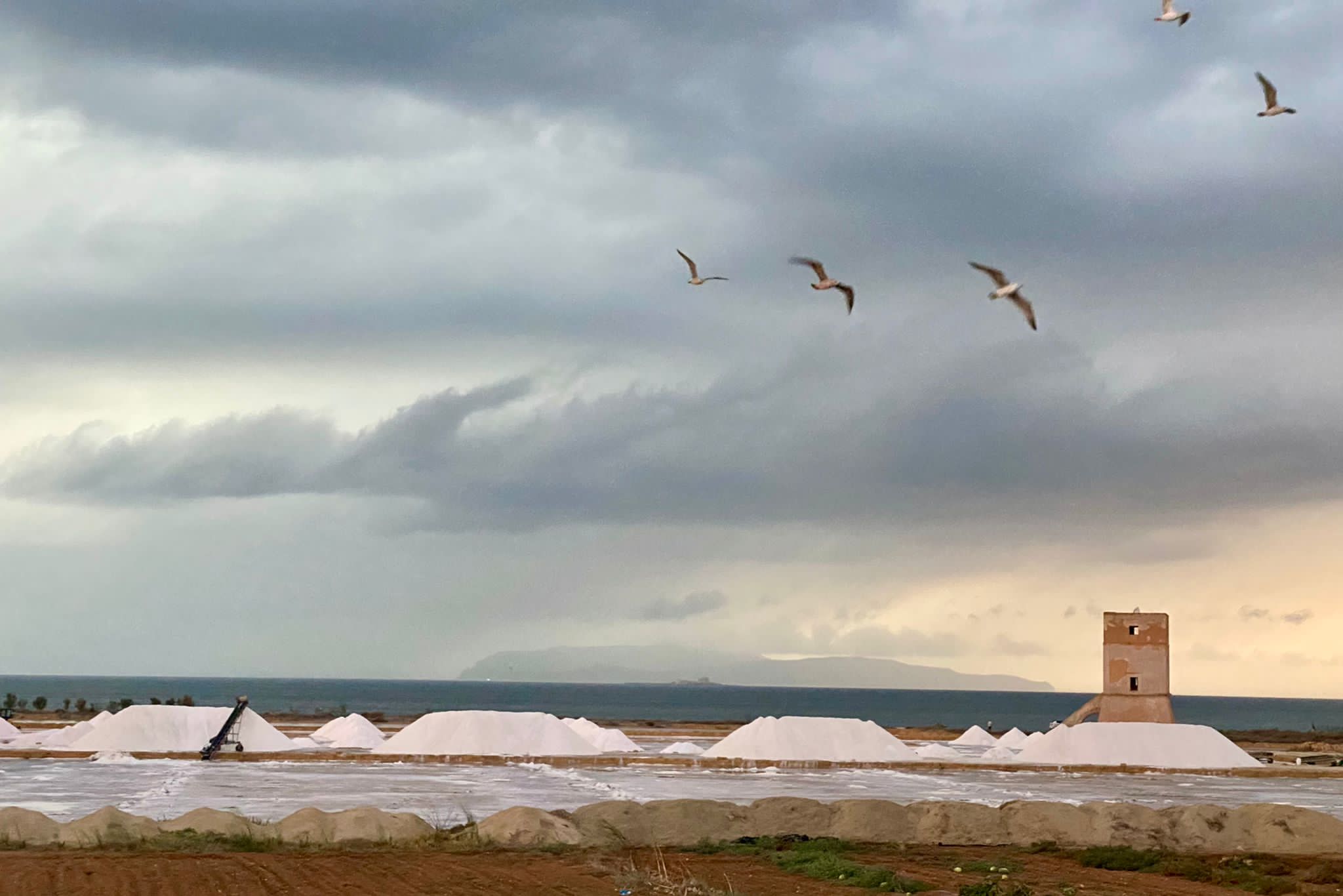 Trapani