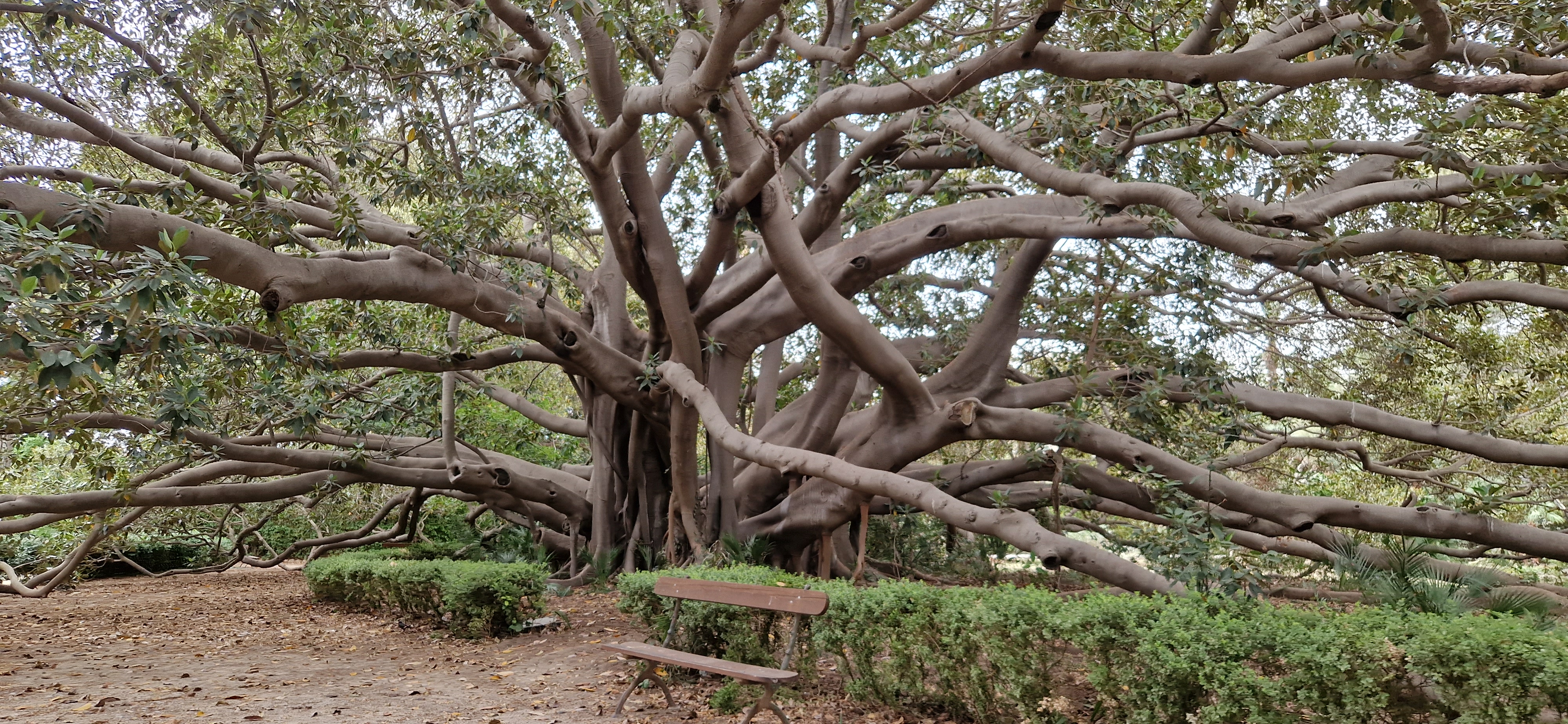I giardini paradisiaci di Palermo